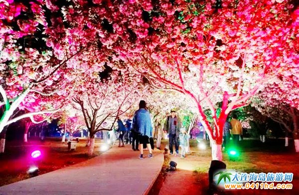 2018旅順203櫻花園門票