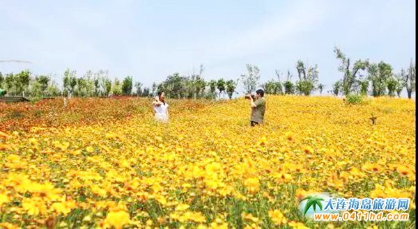 大連旅游