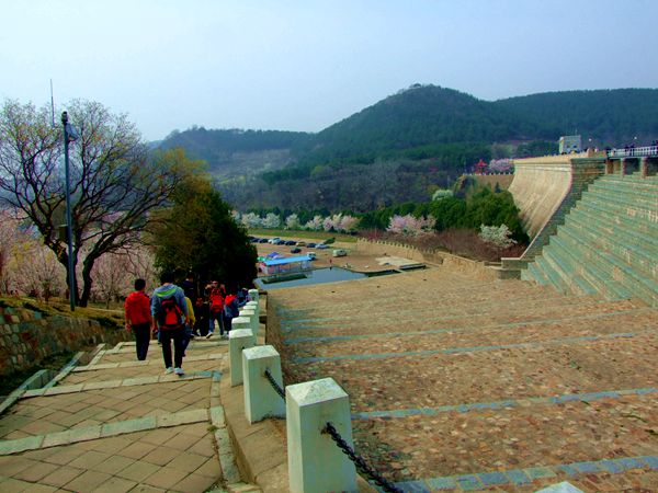 2019혙ѻ